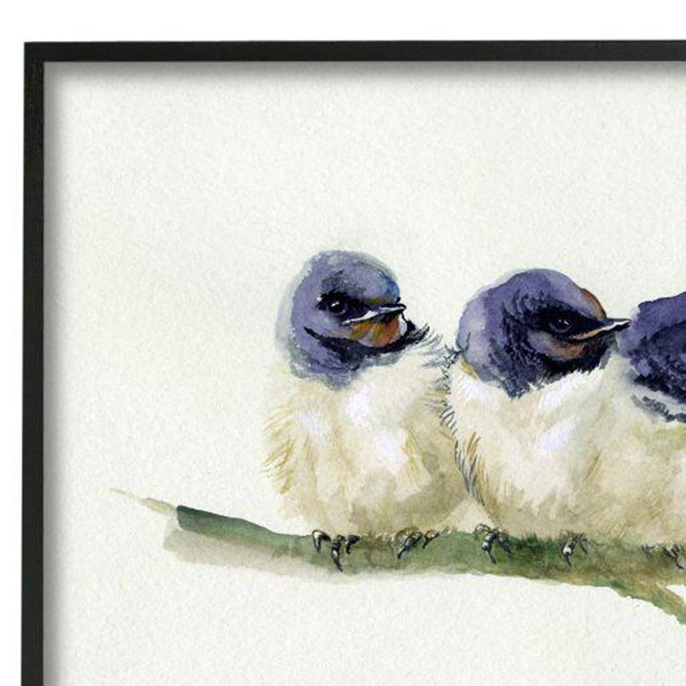 Trio of Baby Swallows on Branch Canvas Print
