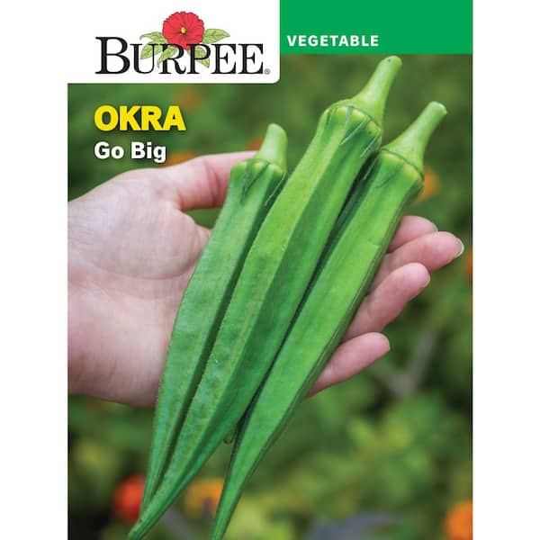 Okra Go Big Seed