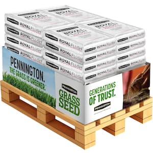 Royal Flush Overseeding Perennial Ryegrass Blend Pallet (40 Bags)