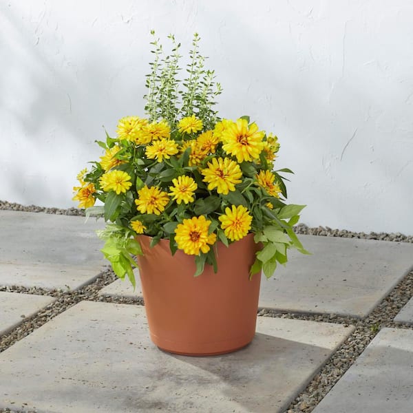 10 in. Kyra Medium Clay Plastic Planter (10 in. D x 9.2 in. H) with Attached Saucer