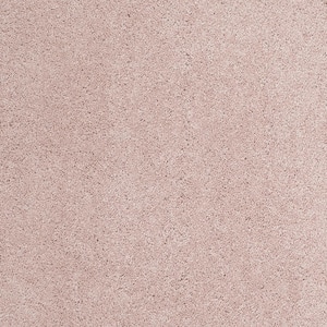 Coral Reef II - Antique Rose - Red 93.6 oz. Nylon Texture Installed Carpet