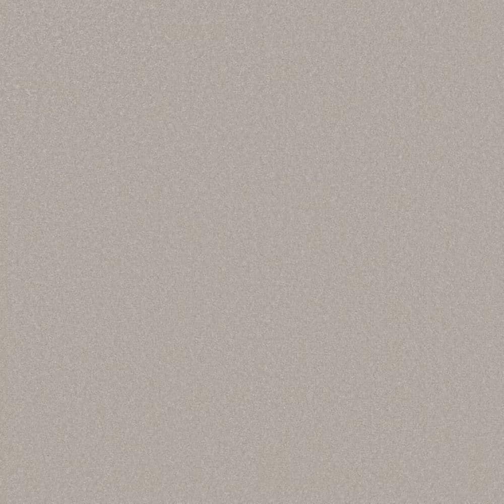 8 in. x 8 in. Texture Carpet Sample-Park Royal I-Color Misty Sky price history on PriceWatchPro