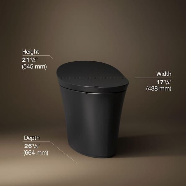 Veil 12 in. Rough In One-Piece 0.8/1.28 GPF Dual Flush Elongated Smart Bidet Toilet in Honed Black with BuiltiIn Bidet