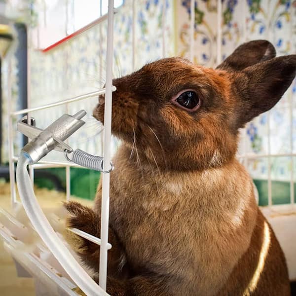 Farm Animal Water Dispenser System 30 Sets Automatic Rabbit Nipple ...