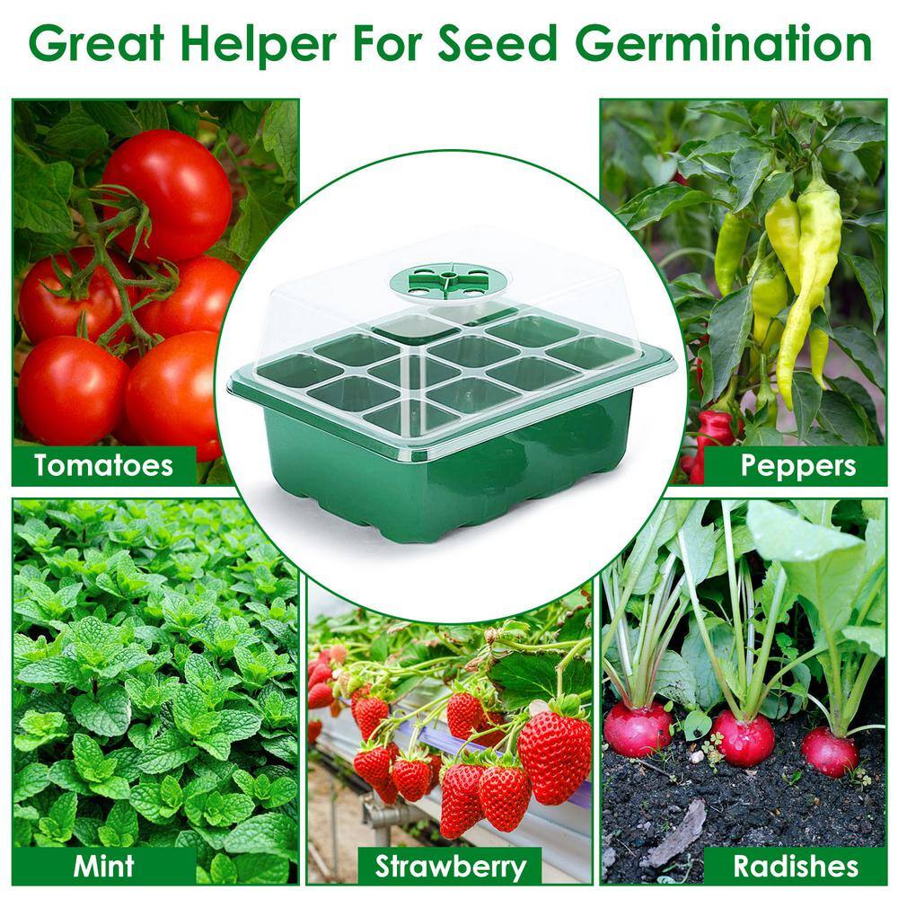 Green Plastic Seed Starter Tray Kit with Humidity Dome
