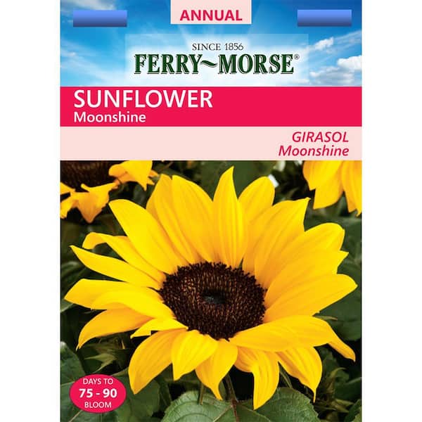 Ferry-Morse Sunflower Moonshine Seed