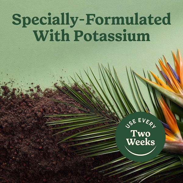 orchid potting mix near me Organic Orchid Potting Mix
