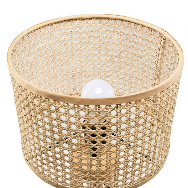 JAYDEN CREATION Bishapur Rattan 11 in. W x 11 in. D x 21.7 in. H