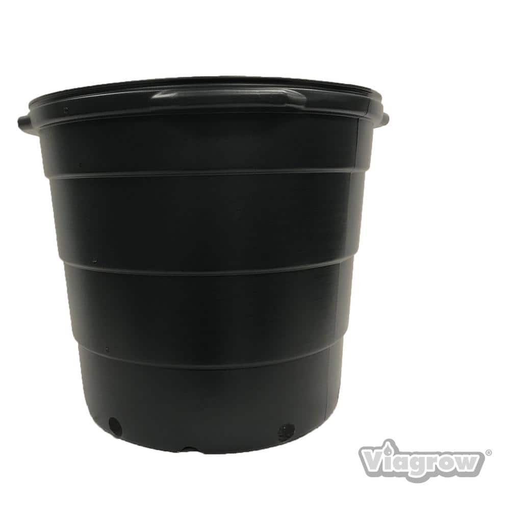 12pcs/pack Black 1 Gallon Planting Pot, 6 Inch Nursery Pot With