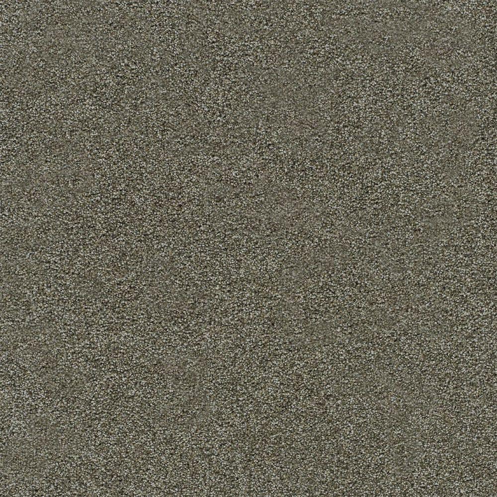 8 in. x 8 in. Texture Carpet Sample-Dewdrop II-Color Pleasant price history on PriceWatchPro