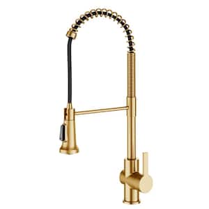 Britt Single Handle Pull Down Kitchen Faucet in Brushed Brass