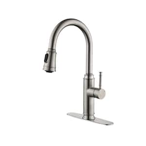 Single Handle High Arc Pull Out Kitchen Faucet, Single Level Stainless Steel Kitchen Sink Faucets with Pull Down Sprayer