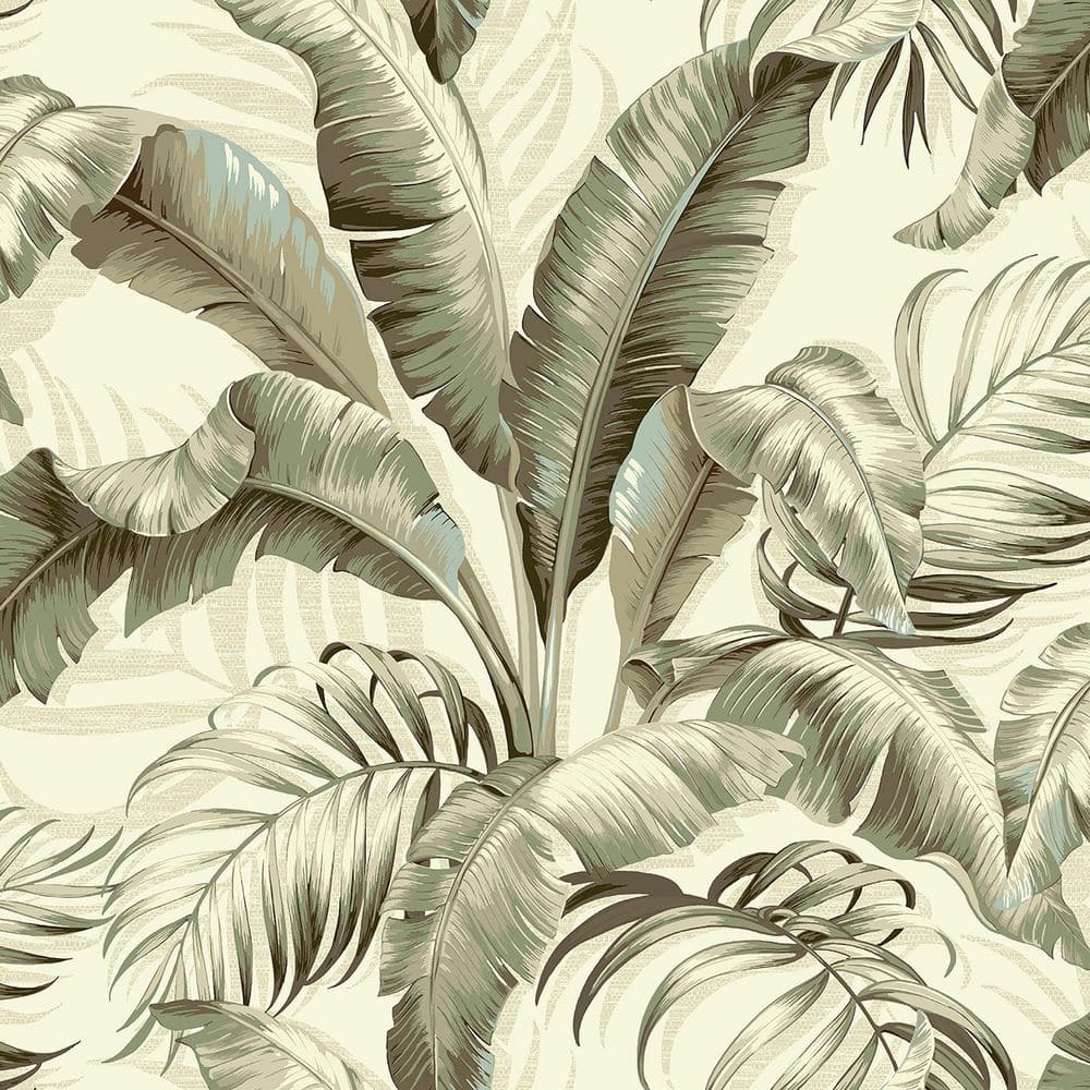 Silver Birch Tropical Palm Peel & Stick Vinyl Wallpaper Roll