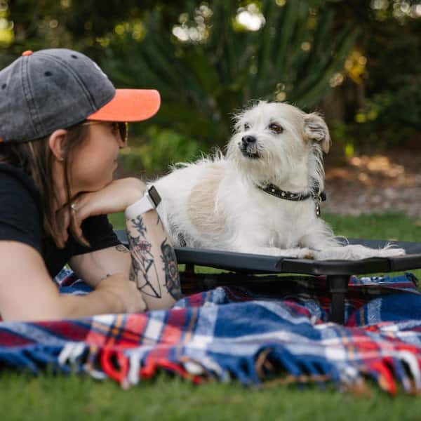 Lucky Dog Lounge Series L x W x H Small