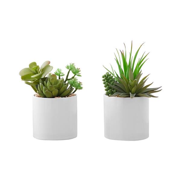 Unbranded Set of 3-7 in. High Green Artificial Succulents in White Ceramic Pots
