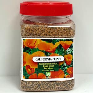 California Poppy Shaker
