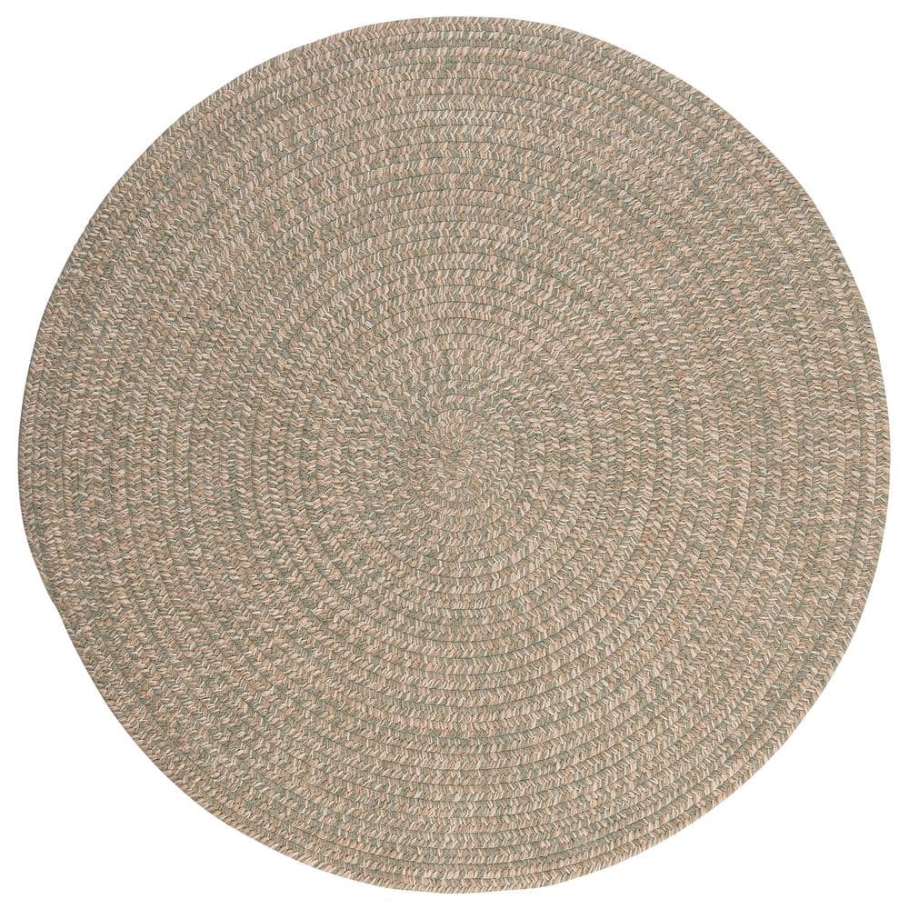 Home Decorators Collection Cicero Palm 8 ft. x 8 ft. Round Area Rug -  TE29R096X096