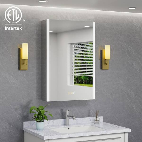 Eos 20 in. W x 28 in. H Rectangular Aluminum Surface/Recessed Medicine Cabinet with Mirror and Light, Right Hinge