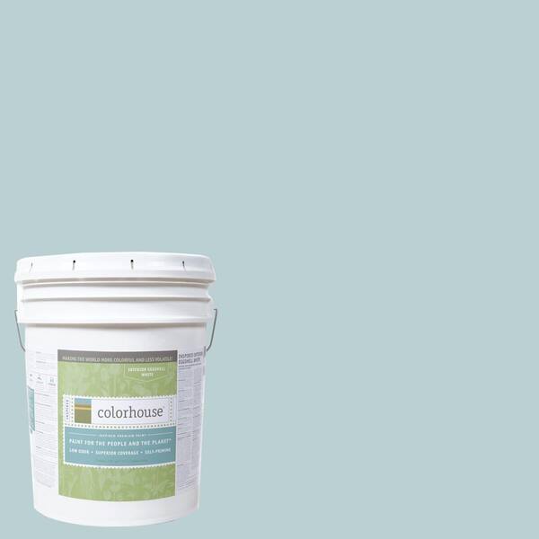 Colorhouse 5 gal. Water .03 Eggshell Interior Paint