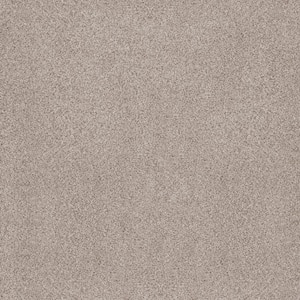 Sand Dunes II Hollis Beige 62 oz. Nylon Texture Installed Carpet