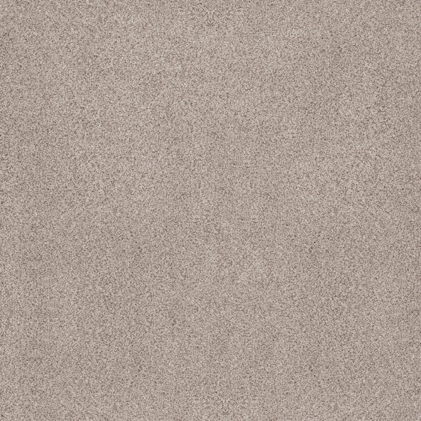 Lifeproof Sand Dunes II Hollis Beige 62 oz. Nylon Texture Installed Carpet