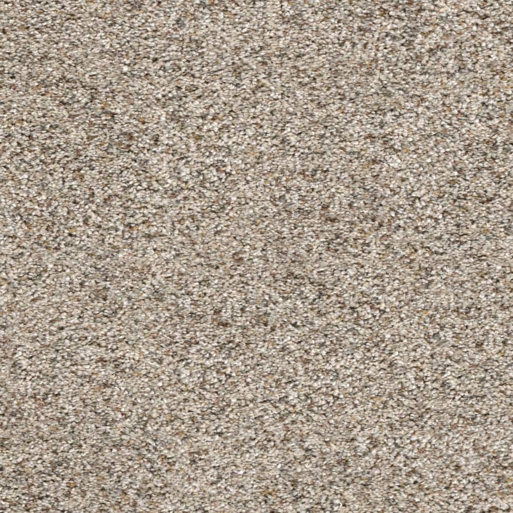 8 in. x  8 in. Texture Carpet Sample - Whispers -Color Expose price history on PriceWatchPro