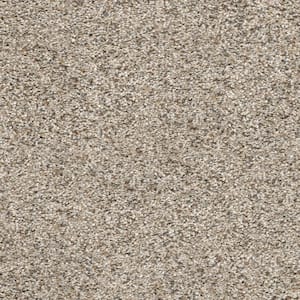 Whispers  - Expose - Beige 38 oz. SD Polyester Texture Installed Carpet