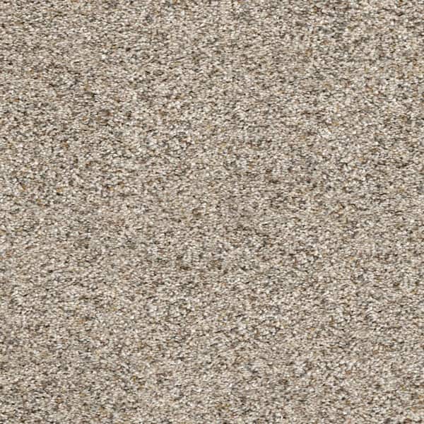 Home Decorators Collection Whispers  - Expose - Beige 38 oz. SD Polyester Texture Installed Carpet