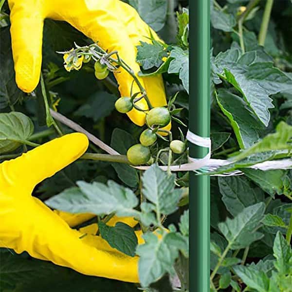 10 Tomato Stake Fiberglass rods 72" lg Garden Landscape 