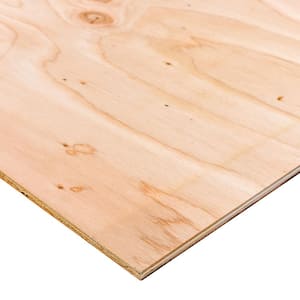 15/32 in. x 4 ft. x 4 ft. Sanded Plywood Project Panel