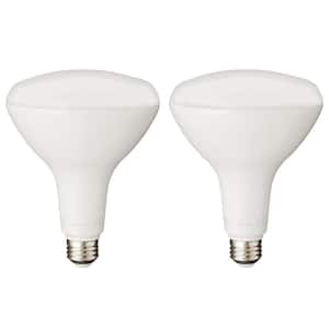 120-Watt Equivalent BR40 Flood Light Energy Star Dimmable LED Light Bulb Soft White (2-Pack)