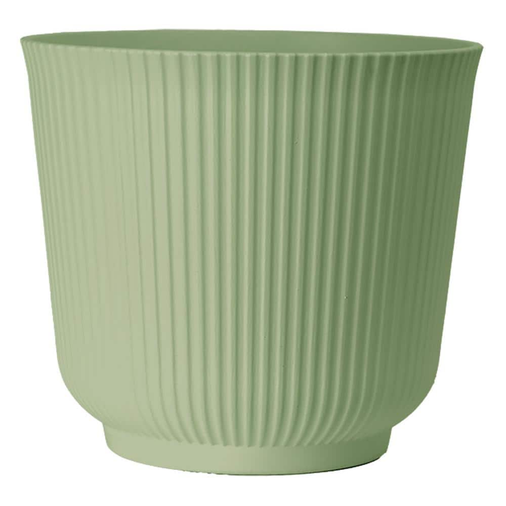 Vigoro 6 in. Porter Sage Green DP2013S - The Home Depot