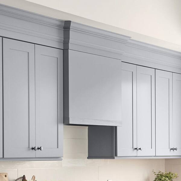Kunal Kitchens Cumberland Recessed 21 in. W x 30 in. H x 12 in. D