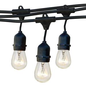 Ambience Pro Outdoor 48 ft. L Plug-in Incandescent 11-Watt S14 Edison Bulb Hanging String Light