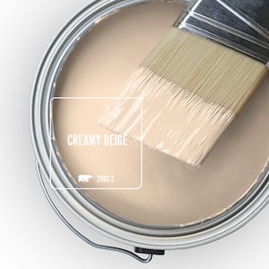 290C-2 Creamy Beige Paint