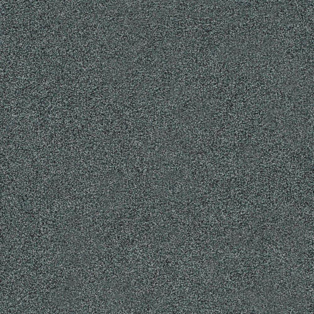 8 in. x 8 in. Texture Carpet Sample-Cinderella Soft III-Color Cozy price history on PriceWatchPro