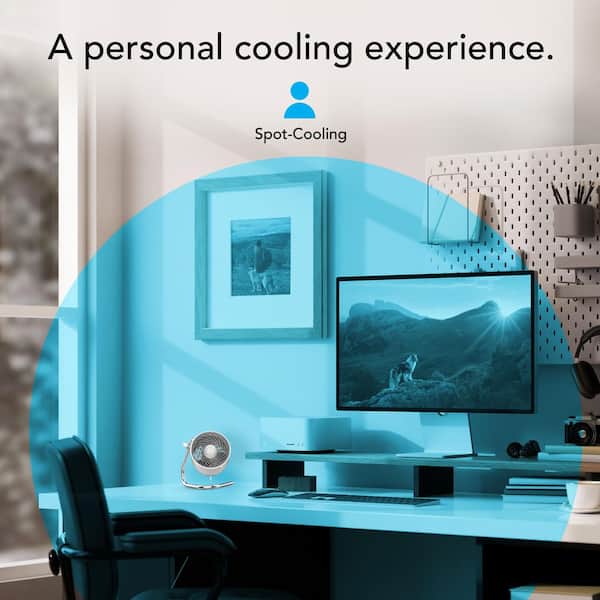 Vornado - 4 in. Pivot Personal Air Circulator in Ice White