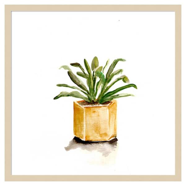 Amanti Art Potted Botanicals II by Marcy Chapman 25 in. W x 25 in. H. Wood Framed Wall Art Print Framed in Brown