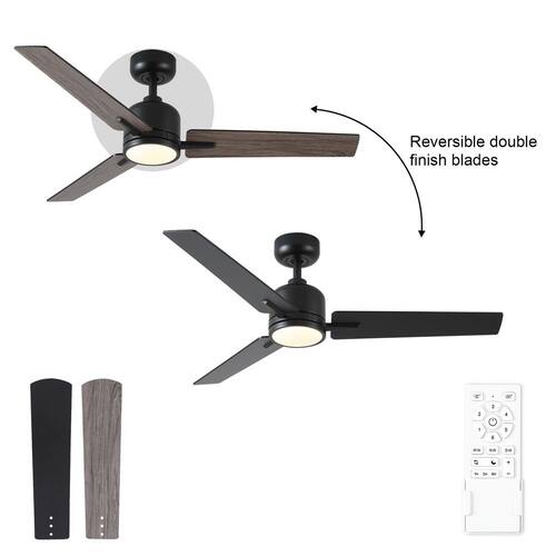 Kaleido 48 in. Indoor Matte Black Standard Ceiling Fan with Light and Dual-Finish Blades Ceiling Fans