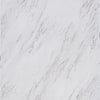 https://images.thdstatic.com/productImages/9bf91dbd-4317-4d00-8bcf-5e14d832b51c/svn/carrara-marble-trafficmaster-vinyl-tile-flooring-ss1212-64_100.jpg