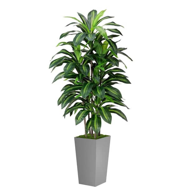 5 ft. Artificial Dracaena Plant with Gray Tall Planter Ornaments