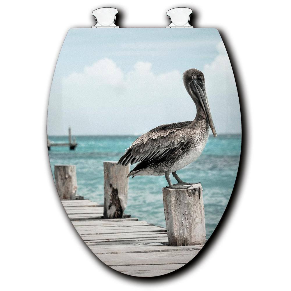 Pelican Pier Elongated Closed Front Toilet Seat In White Tsw-E-Pep - The  Home Depot