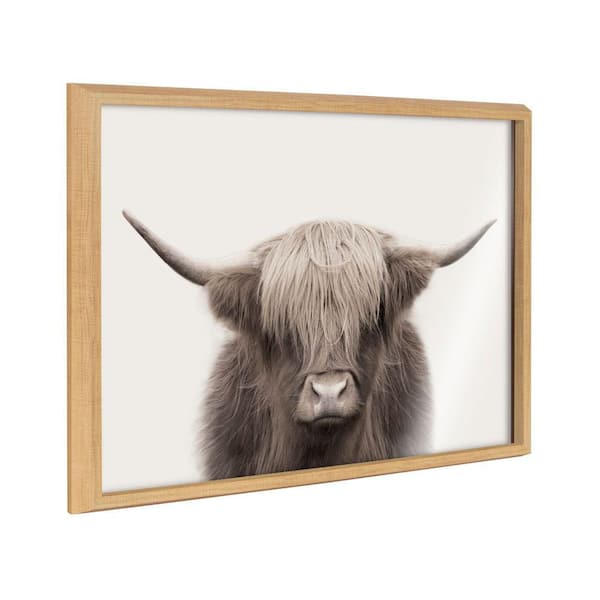 Kate and Laurel Blake Hey Dude Highland Cow Color by the Creative Bunch Studio Framed Glass Art Print 18 in. x 24 in.