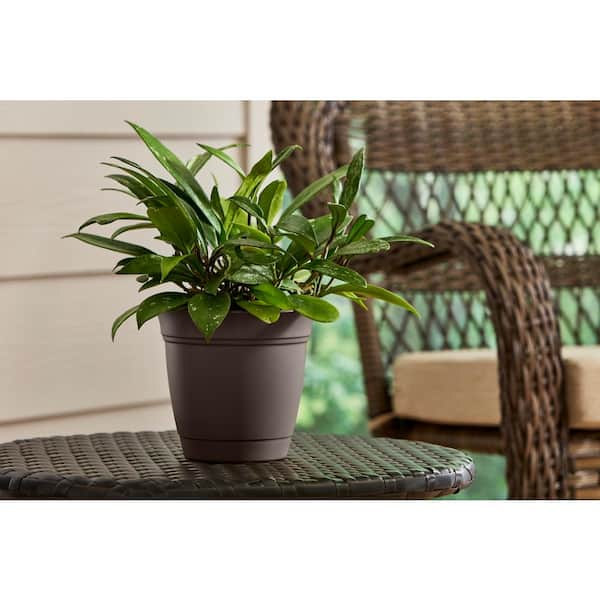 Mirabelle Small Chocolate Plastic Planter with Drainage Hole and Attached Saucer (6 in. L x 6 in. W x 5.3 in. H)