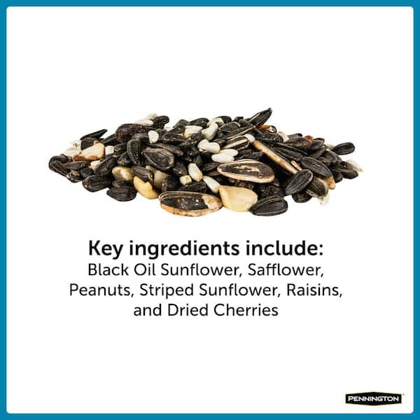 comings SONGBIRDS 7inch 歌詞カード付き Pennington Ultimate 7 lb. Songbird Blend Bird Seed Food 100542047