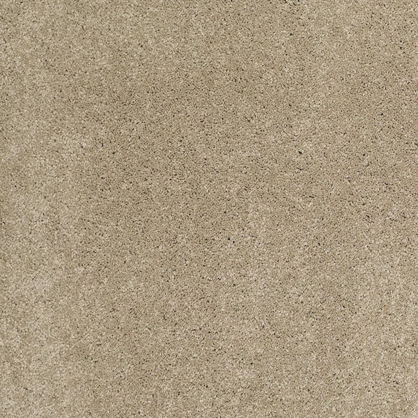 Lifeproof Coral Reef II - Deer Field - Brown 93.6 oz. Nylon Texture Installed Carpet