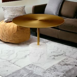 17.3 in. Stainless Steel and Clear Glass Round Metal Coffee Table