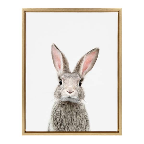 Sylvie "Animal Studio Female Rabbit" by Amy Peterson Art Studio Framed Canvas Wall Art 18 in. x 24 in.