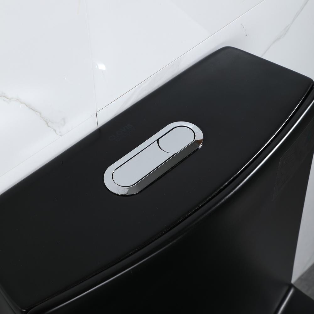 Matte Black Ceramic Elongated One-Piece Dual Flush Toilet