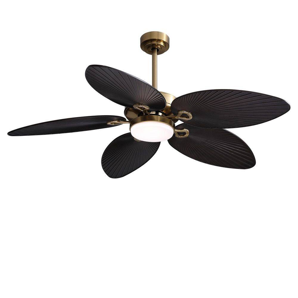 52 in. Smart Black Gold LED Low Profile Standard Ceiling Fan With Lights, Reversible Rotation and Remote Control price history on PriceWatchPro